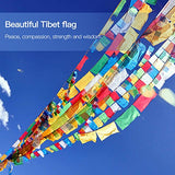 Anley Tibet Buddhist Prayer Flag – Traditional Five Elements - Horizontal Wind Horse Design (10” x 10”) - 25 flags & 23 feet